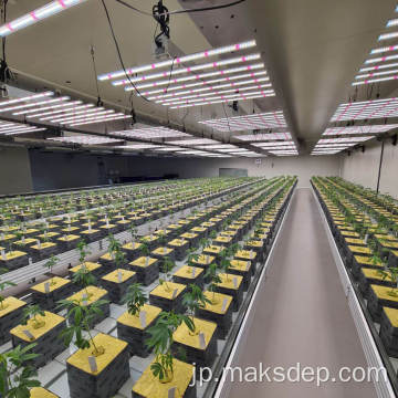 屋内水耕栽培LED植物ライトが装飾されています